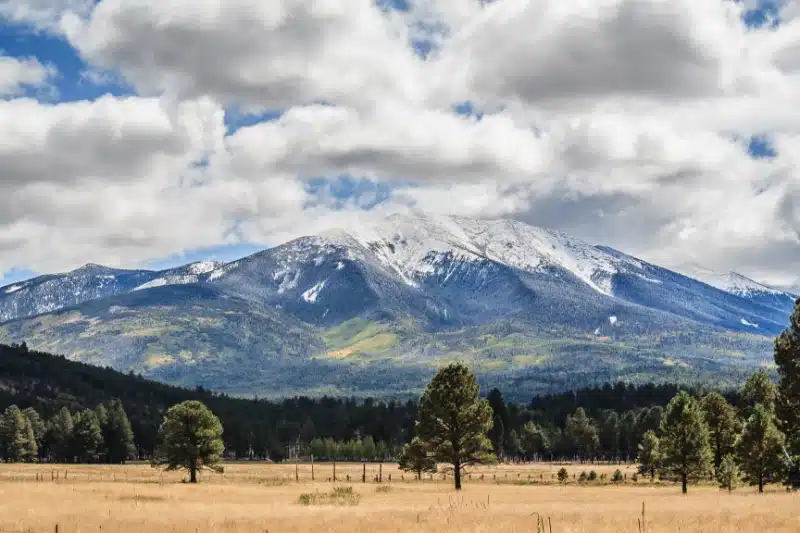 Discover Local Weather