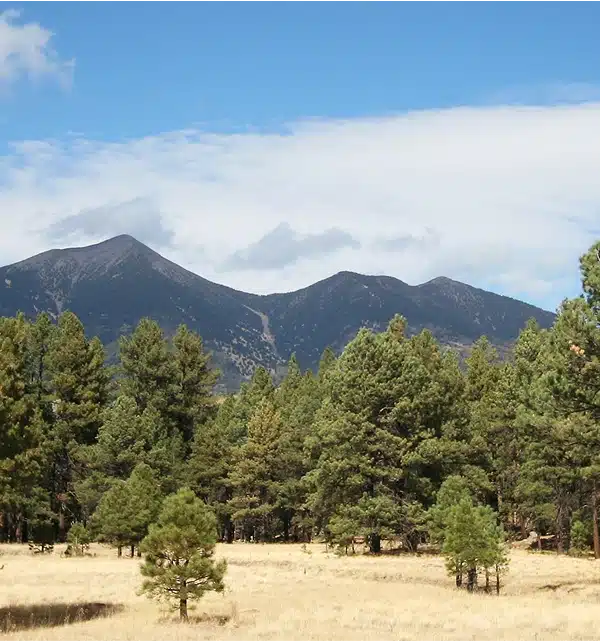 Flagstaff Peaks in Spring