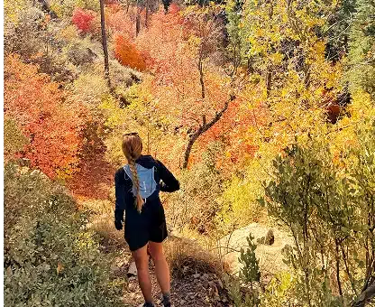 Running with Fall Colors