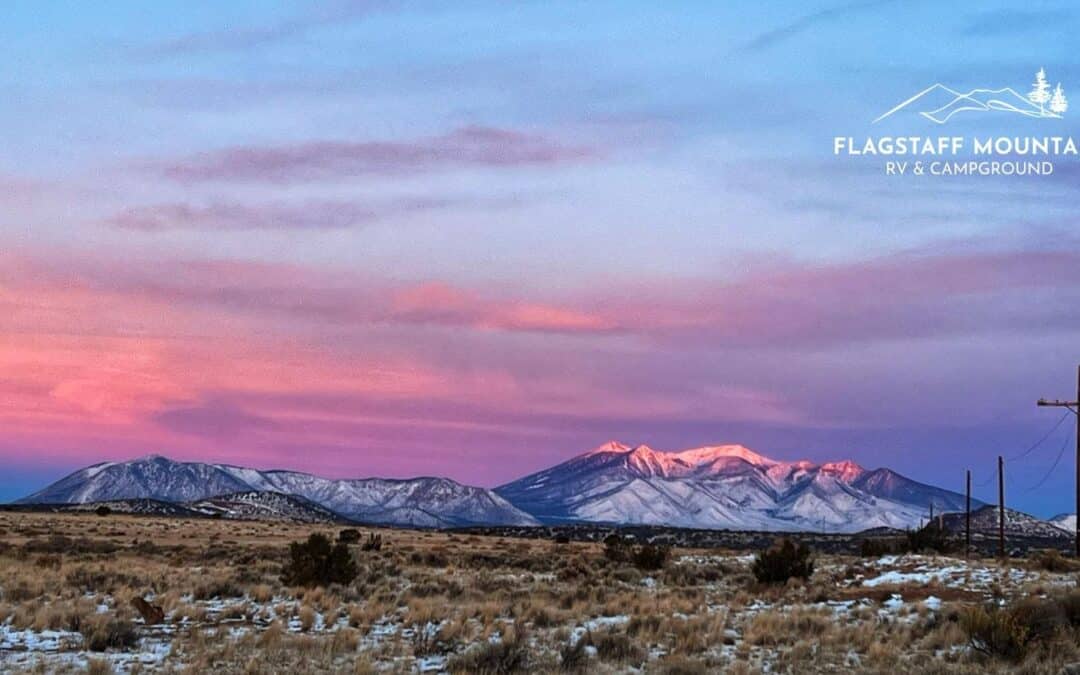 Minutes from Everything, Miles from Ordinary: Flagstaff’s Perfect RV Basecamp