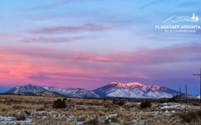 Minutes from Everything, Miles from Ordinary: Flagstaff’s Perfect RV Basecamp