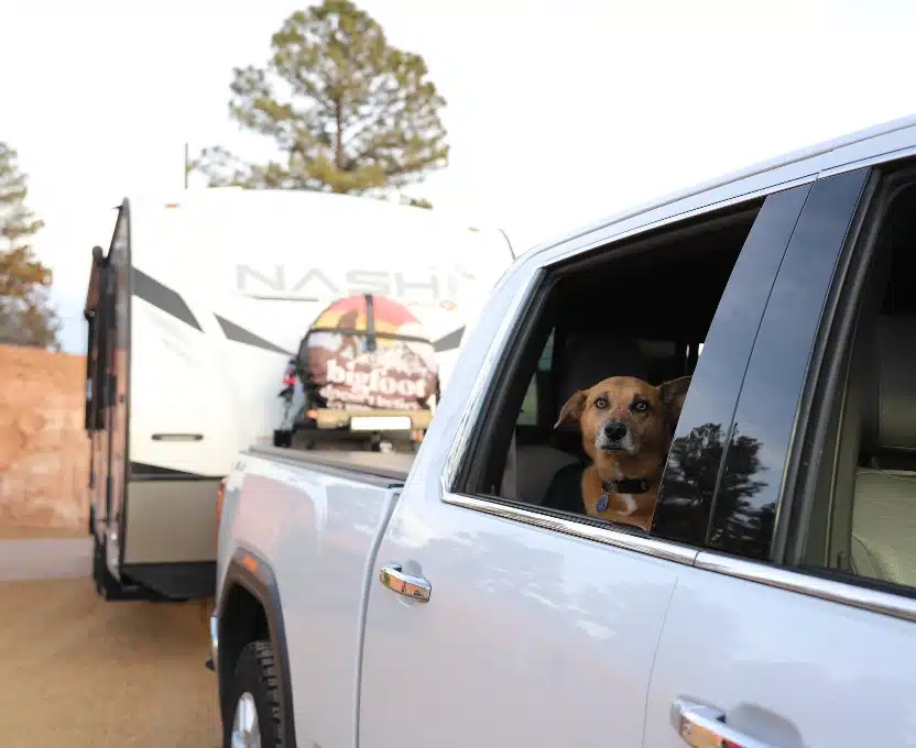 Dog Flagstaff Mountain RV Park