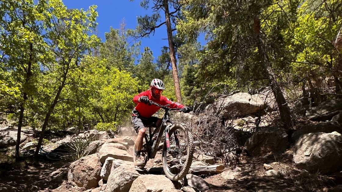 People enjoying a summer bike ride through the Flagstaff forest trails.