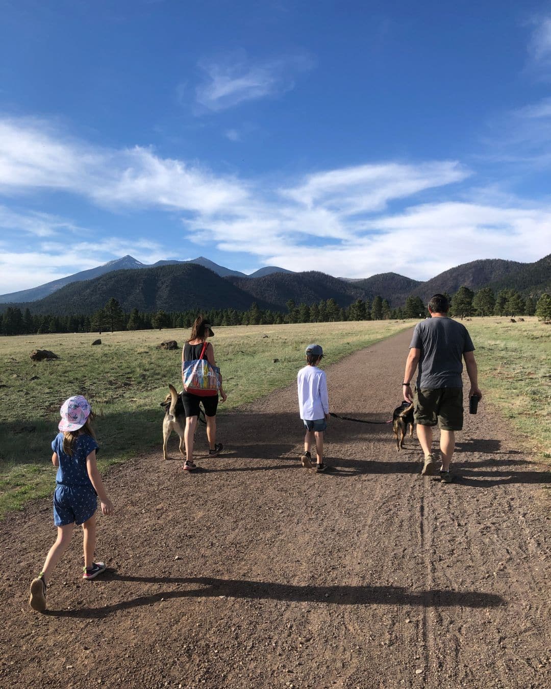 Family walking dogs on a wide dirt trail with mountain views near Buffalo Park in Flagstaff.