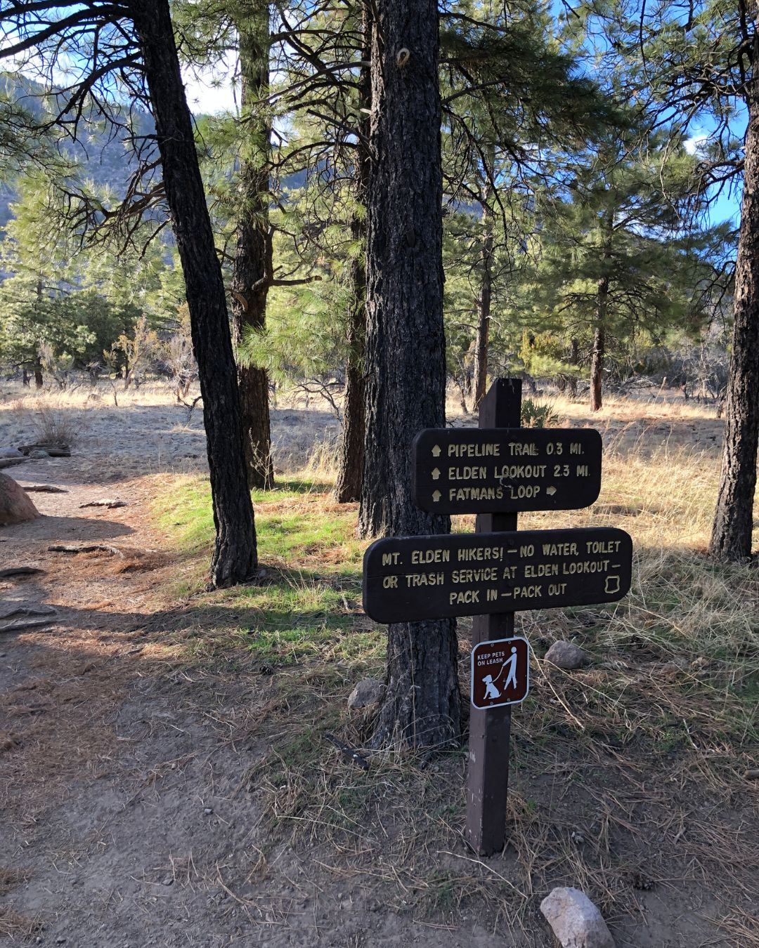 Mt. Elden trail sign for Fatman's Loop, Elden Lookout, and Pipeline Trail in a pine forest near Flagstaff.